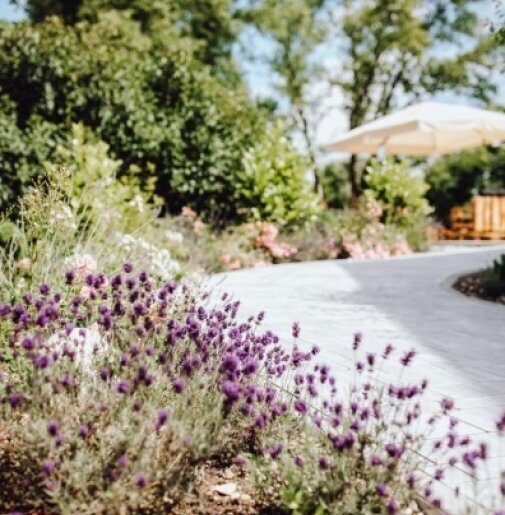 Garten Blumen der Kaltmühle